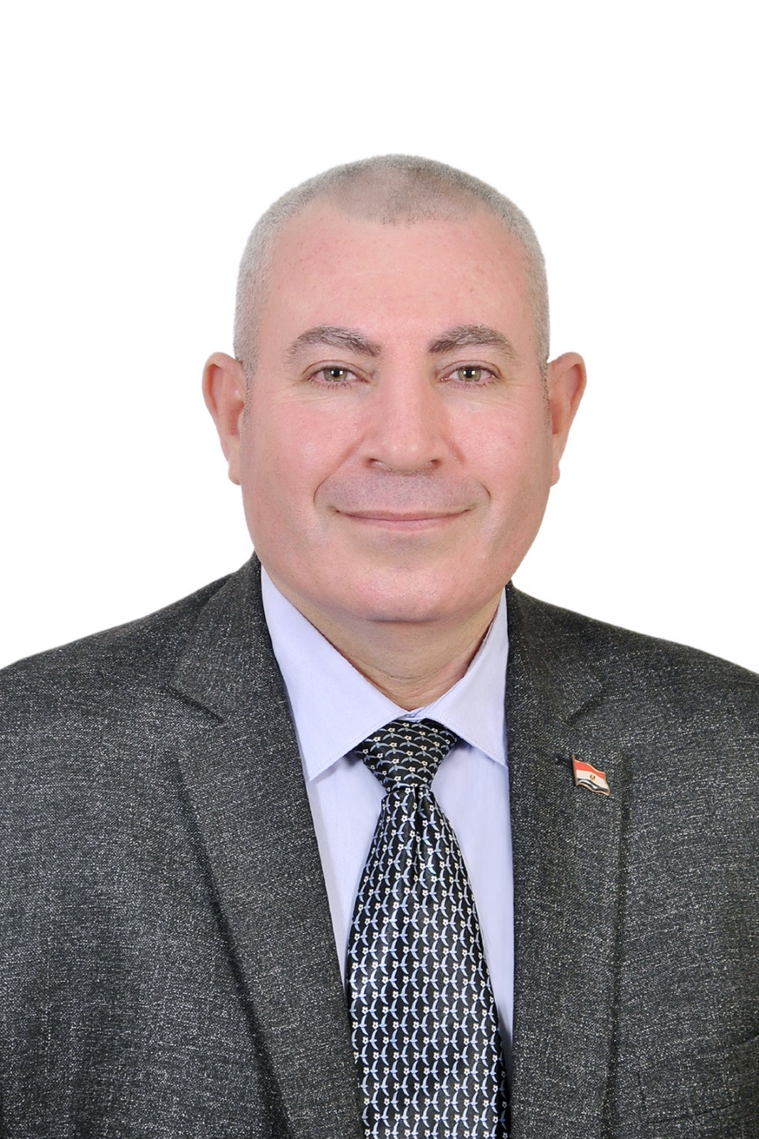 أ.د. هاني أبوالفتوح جاد إبراهيم